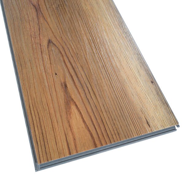 6100 C DVRVP638 C Plank Angle